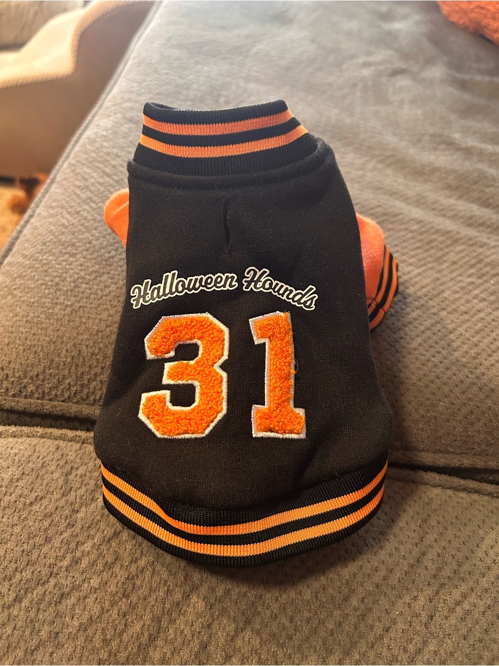 XS-up to 5 lbs Halloween Hounds Black & Orange Dog Jersey - Brand Unspecified